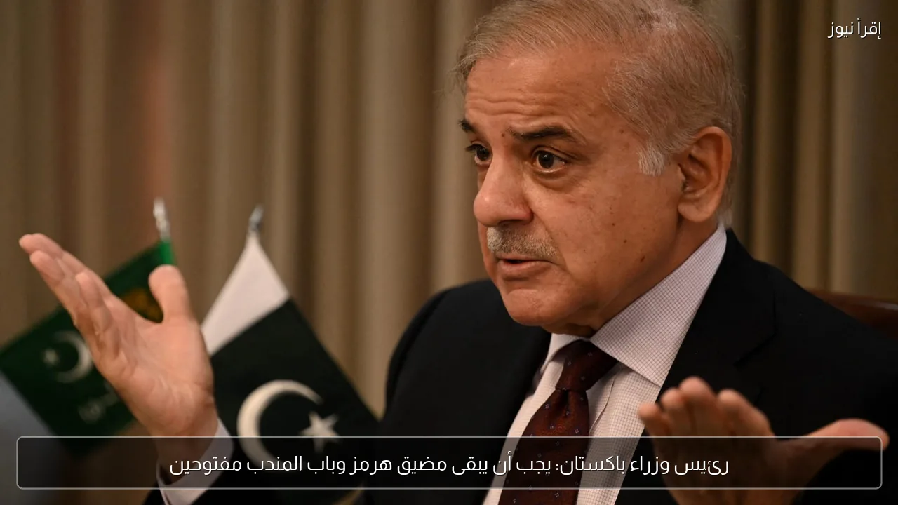 رئيس وزراء باكستان: يجب أن يبقى مضيق هرمز وباب المندب مفتوحين