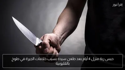 حبس ربة منزل 4 أيام بعد طعن سيدة بسبب خلافات الجيرة في طوخ بالقليوبية