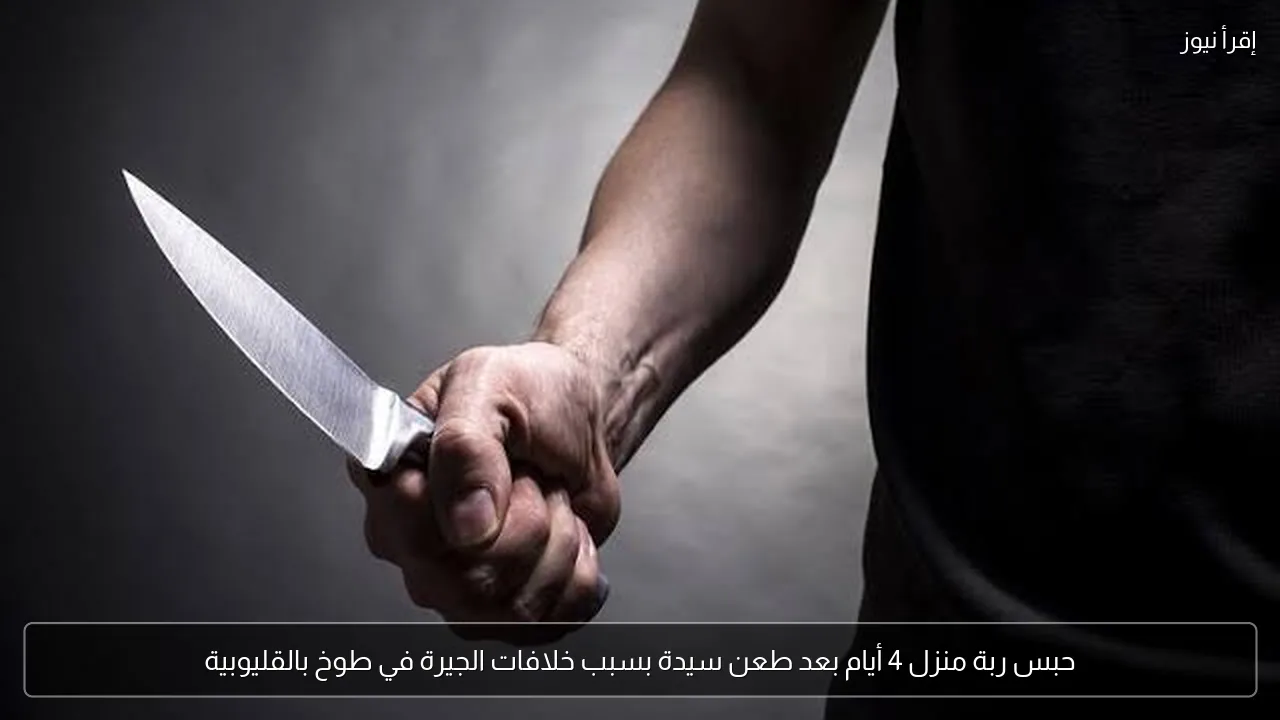 حبس ربة منزل 4 أيام بعد طعن سيدة بسبب خلافات الجيرة في طوخ بالقليوبية