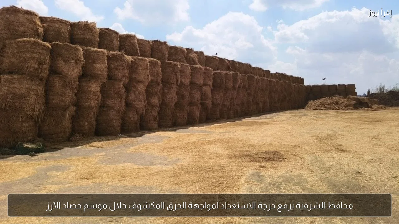 محافظ الشرقية يرفع درجة الاستعداد لمواجهة الحرق المكشوف خلال موسم حصاد الأرز