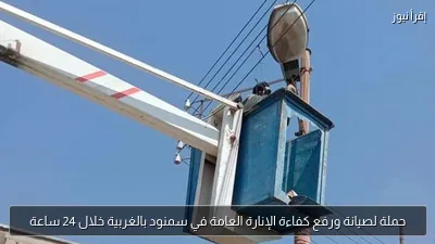 حملة لصيانة ورفع كفاءة الإنارة العامة في سمنود بالغربية خلال 24 ساعة