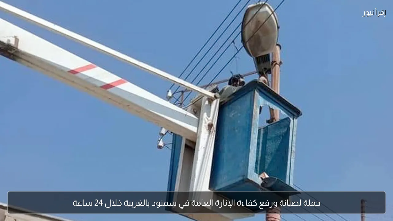 حملة لصيانة ورفع كفاءة الإنارة العامة في سمنود بالغربية خلال 24 ساعة