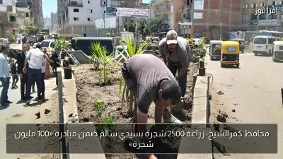 محافظ كفرالشيخ: زراعة 2500 شجرة بسيدي سالم ضمن مبادرة «100 مليون شجرة»