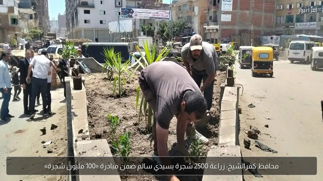 محافظ كفرالشيخ: زراعة 2500 شجرة بسيدي سالم ضمن مبادرة «100 مليون شجرة»
