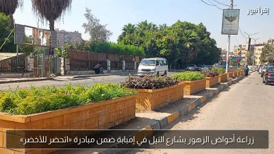 زراعة أحواض الزهور بشارع النيل في إمبابة ضمن مبادرة «اتحضر للأخضر»