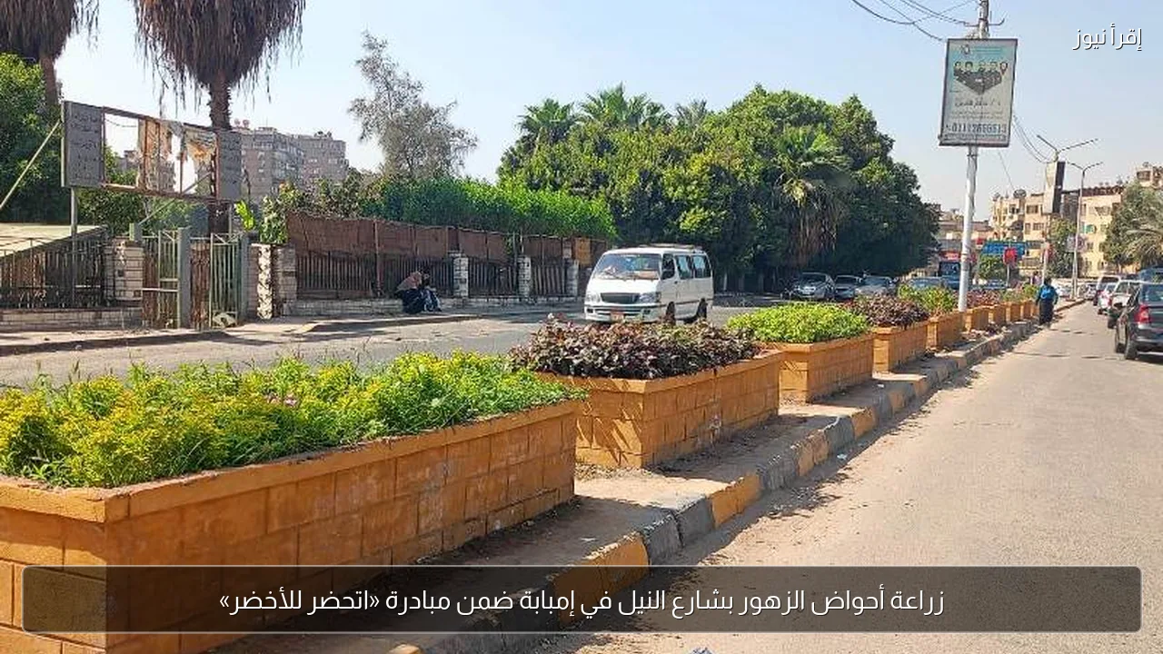 زراعة أحواض الزهور بشارع النيل في إمبابة ضمن مبادرة «اتحضر للأخضر»