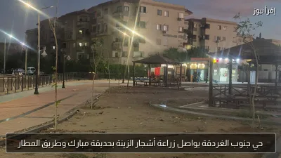 حي جنوب الغردقة يواصل زراعة أشجار الزينة بحديقة مبارك وطريق المطار