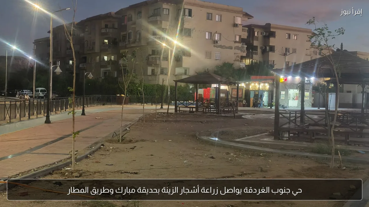 حي جنوب الغردقة يواصل زراعة أشجار الزينة بحديقة مبارك وطريق المطار