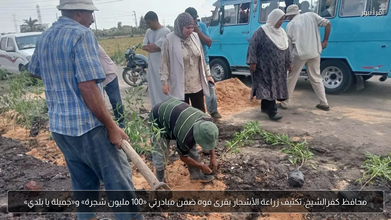 محافظ كفرالشيخ: تكثيف زراعة الأشجار بقرى فوه ضمن مبادرتي «100 مليون شجرة» و«جميلة يا بلدي»