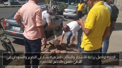 الجيزة تواصل زراعة الأشجار والنباتات المزهرة بشارعي التحرير والسودان في الدقي ضمن «اتحضر للأخضر»