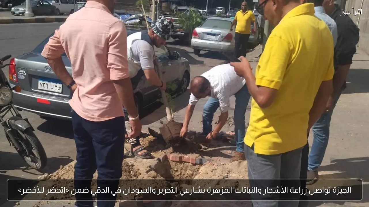 الجيزة تواصل زراعة الأشجار والنباتات المزهرة بشارعي التحرير والسودان في الدقي ضمن «اتحضر للأخضر»