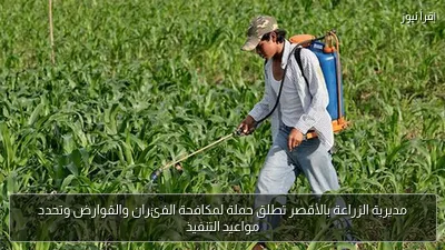 مديرية الزراعة بالأقصر تطلق حملة لمكافحة الفئران والقوارض وتحدد مواعيد التنفيذ