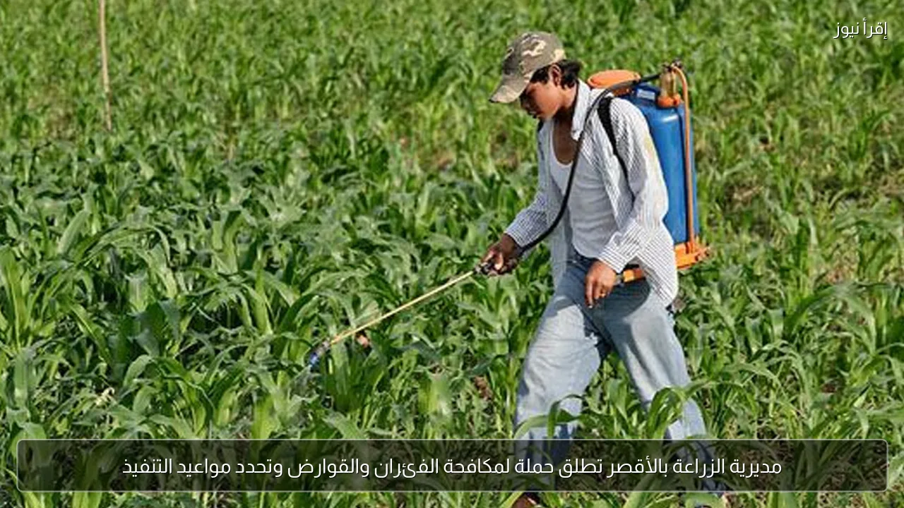 مديرية الزراعة بالأقصر تطلق حملة لمكافحة الفئران والقوارض وتحدد مواعيد التنفيذ