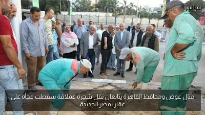 منال عوض ومحافظ القاهرة يتابعان نقل شجرة عملاقة سقطت فجأة على عقار بمصر الجديدة