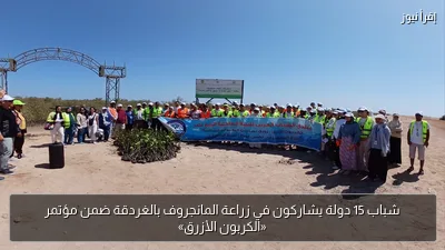 شباب 15 دولة يشاركون في زراعة المانجروف بالغردقة ضمن مؤتمر «الكربون الأزرق»