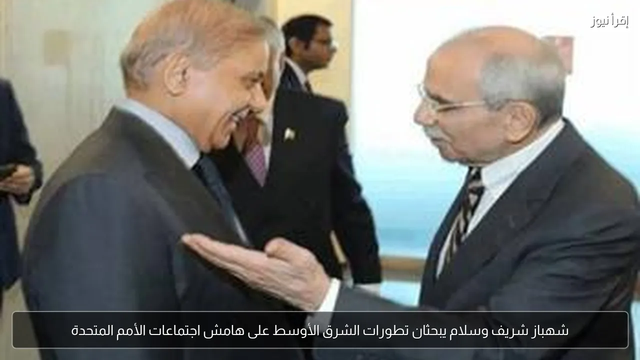 شهباز شريف وسلام يبحثان تطورات الشرق الأوسط على هامش اجتماعات الأمم المتحدة