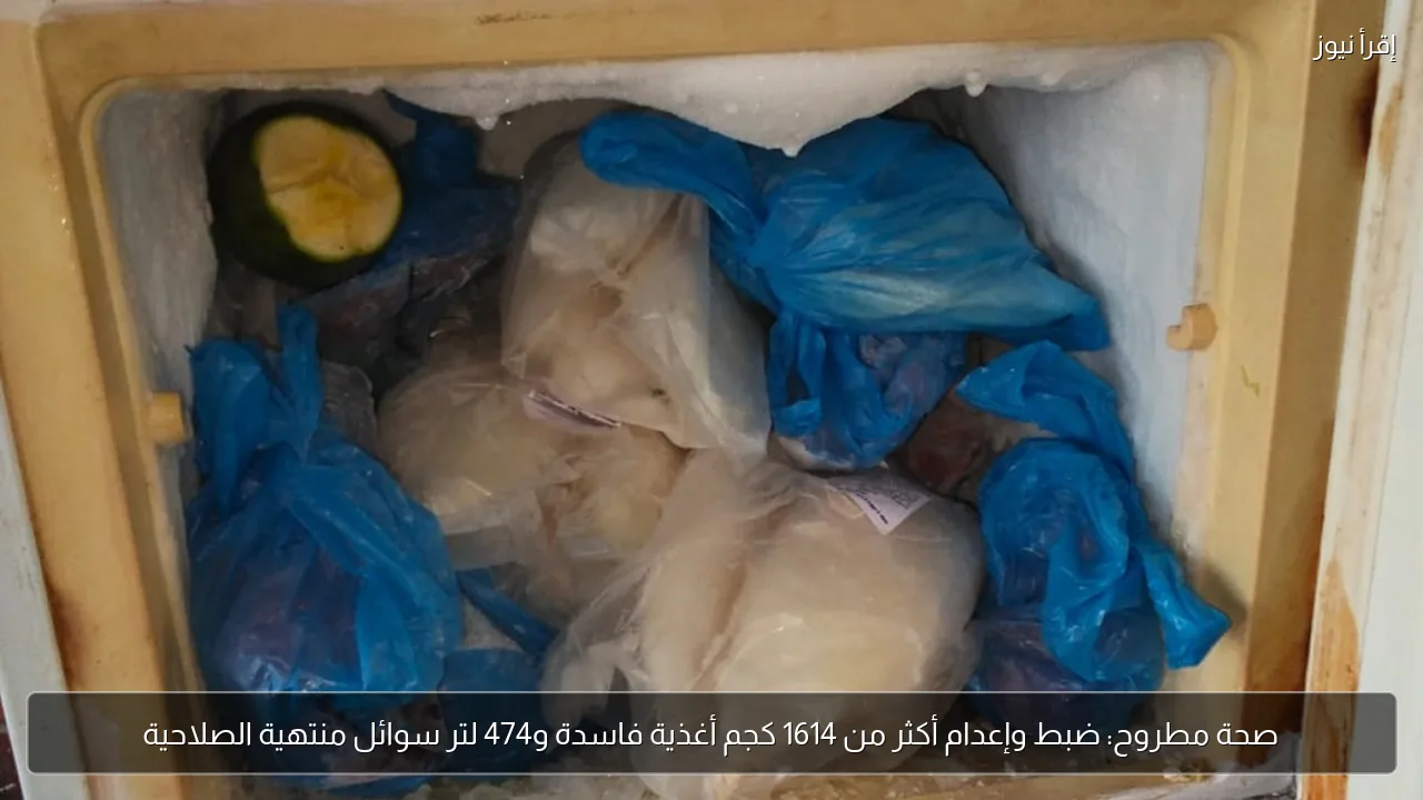 صحة مطروح: ضبط وإعدام أكثر من 1614 كجم أغذية فاسدة و474 لتر سوائل منتهية الصلاحية