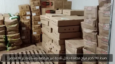 ضبط 110 كجم فراخ مجمدة داخل ثلاجة غير مرخصة بإسنا وتحرير 18 محضرًا