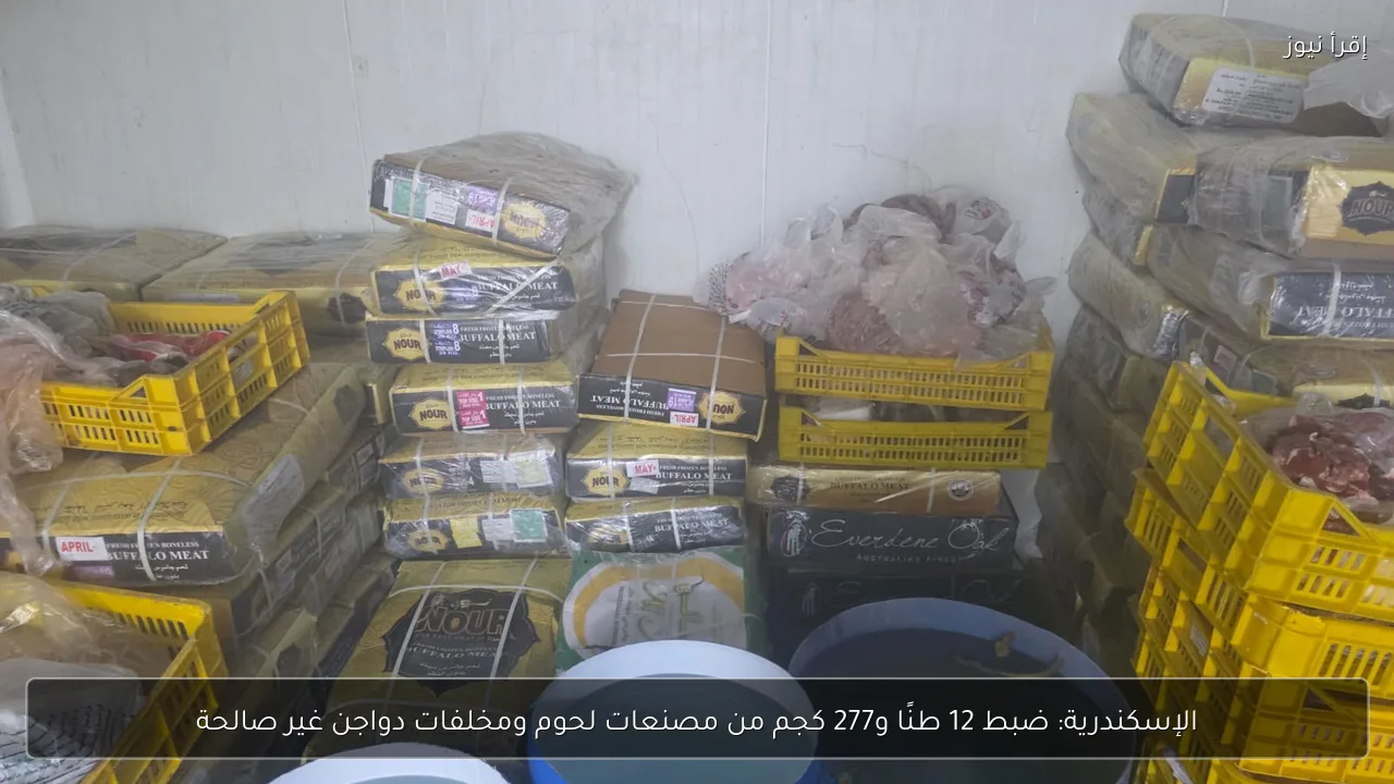 الإسكندرية: ضبط 12 طنًا و277 كجم من مصنعات لحوم ومخلفات دواجن غير صالحة