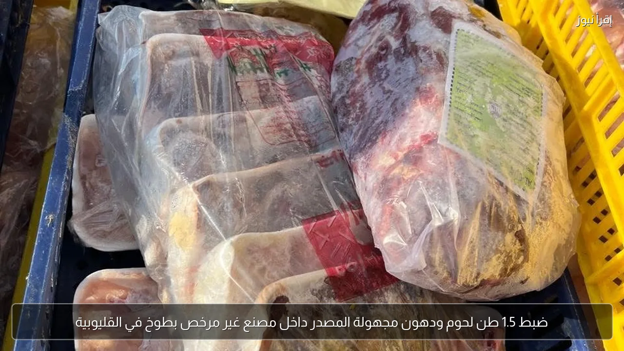 ضبط 1.5 طن لحوم ودهون مجهولة المصدر داخل مصنع غير مرخص بطوخ في القليوبية