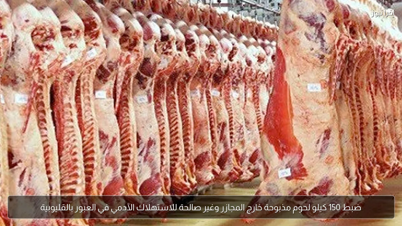 ضبط 150 كيلو لحوم مذبوحة خارج المجازر وغير صالحة للاستهلاك الآدمي في العبور بالقليوبية