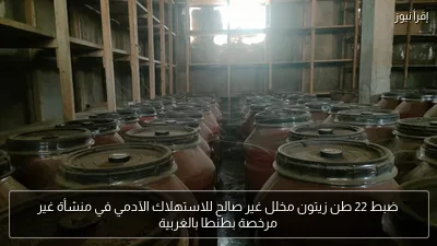 ضبط 22 طن زيتون مخلل غير صالح للاستهلاك الآدمي في منشأة غير مرخصة بطنطا بالغربية