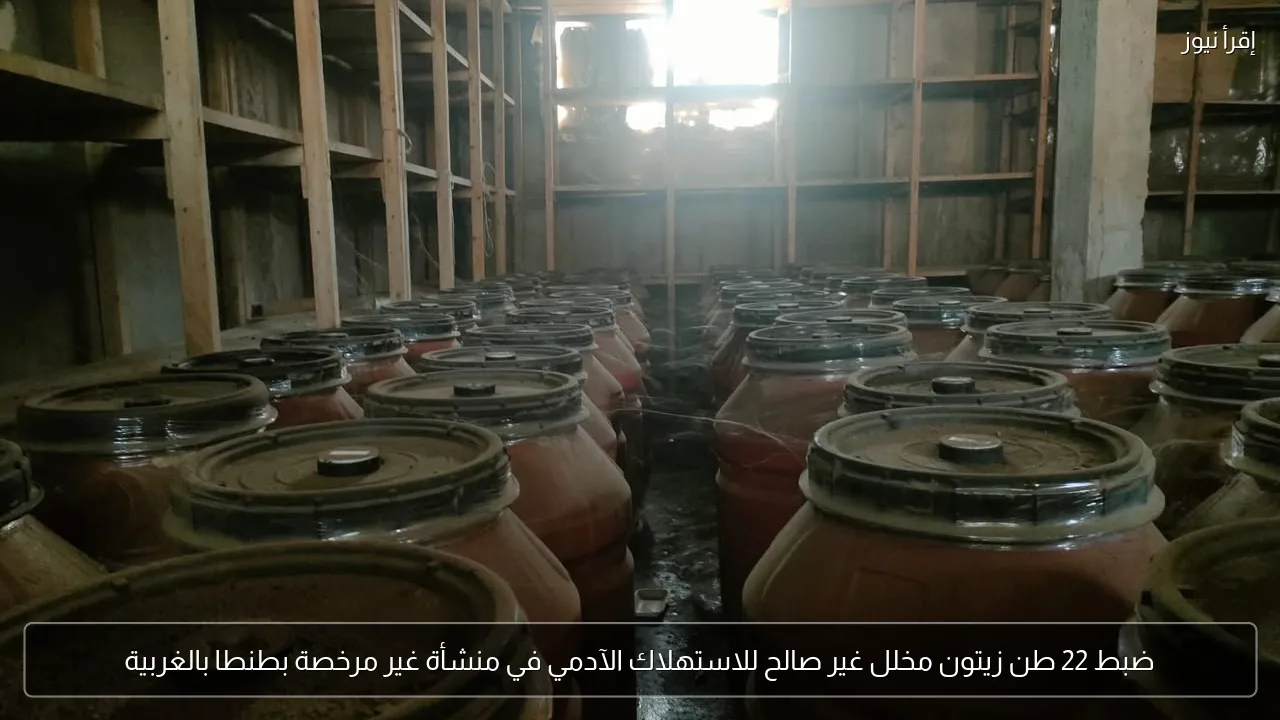 ضبط 22 طن زيتون مخلل غير صالح للاستهلاك الآدمي في منشأة غير مرخصة بطنطا بالغربية
