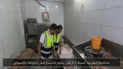محافظ الغربية: ضبط 2.5 طن لحوم فاسدة قبل تداولها بالأسواق