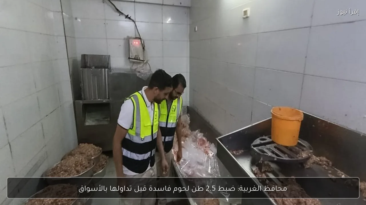 محافظ الغربية: ضبط 2.5 طن لحوم فاسدة قبل تداولها بالأسواق