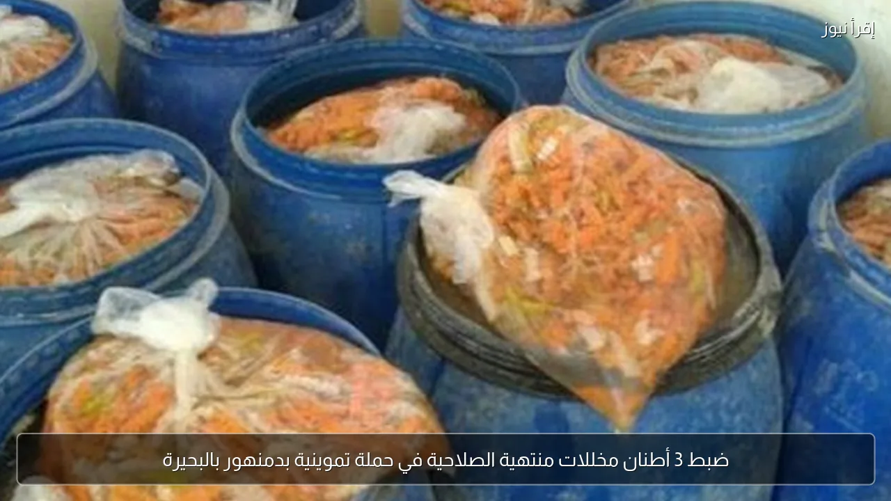 ضبط 3 أطنان مخللات منتهية الصلاحية في حملة تموينية بدمنهور بالبحيرة