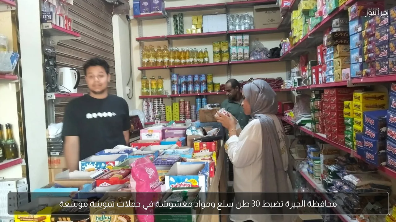 محافظة الجيزة تضبط 30 طن سلع ومواد مغشوشة في حملات تموينية موسعة