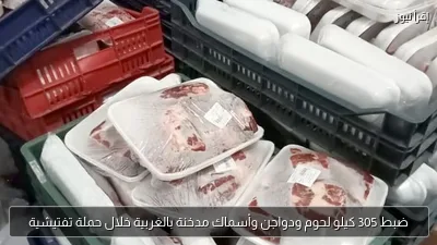 ضبط 305 كيلو لحوم ودواجن وأسماك مدخنة بالغربية خلال حملة تفتيشية