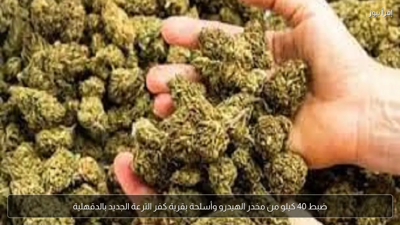 ضبط 40 كيلو من مخدر الهيدرو وأسلحة بقرية كفر الترعة الجديد بالدقهلية