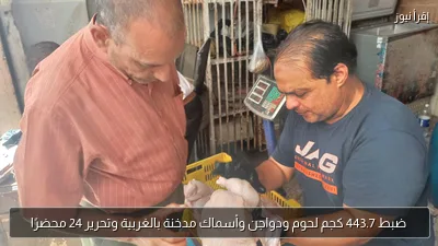 ضبط 443.7 كجم لحوم ودواجن وأسماك مدخنة بالغربية وتحرير 24 محضرًا