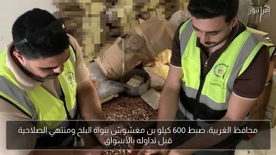 محافظ الغربية: ضبط 600 كيلو بن مغشوش بنواة البلح ومنتهي الصلاحية قبل تداوله بالأسواق