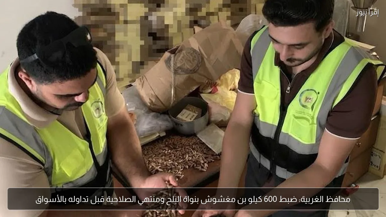 محافظ الغربية: ضبط 600 كيلو بن مغشوش بنواة البلح ومنتهي الصلاحية قبل تداوله بالأسواق
