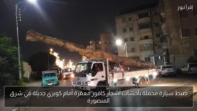 ضبط سيارة محملة بأخشاب أشجار كافور معمّرة أمام كوبري جديلة في شرق المنصورة