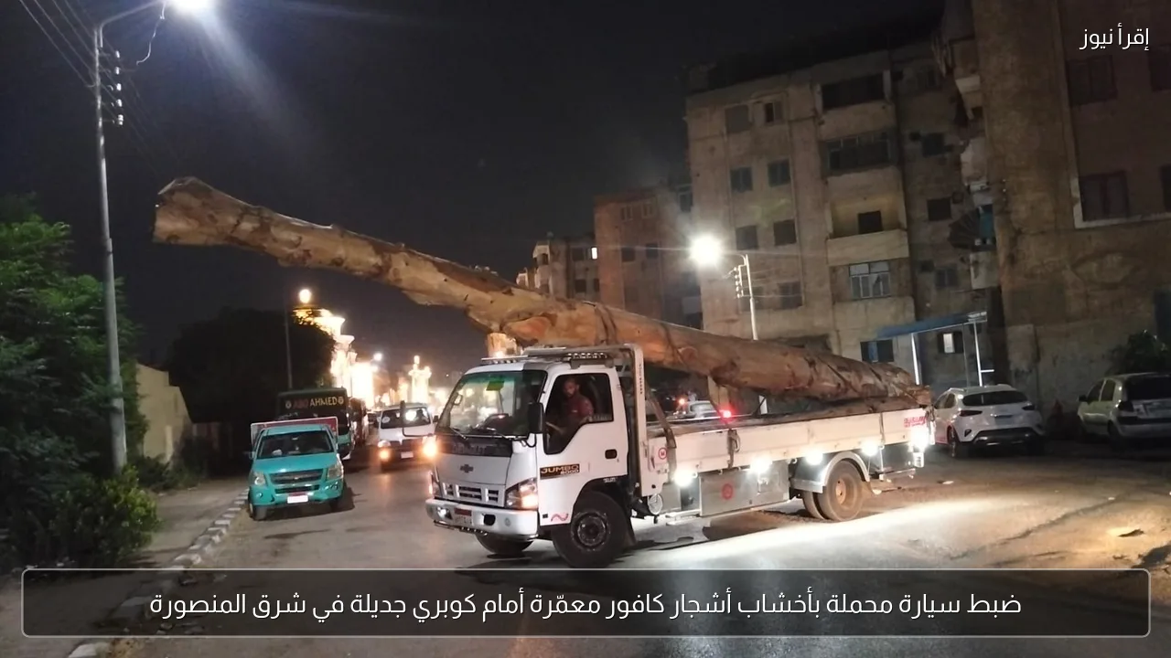 ضبط سيارة محملة بأخشاب أشجار كافور معمّرة أمام كوبري جديلة في شرق المنصورة