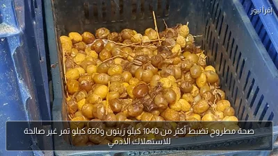 صحة مطروح تضبط أكثر من 1040 كيلو زيتون و650 كيلو تمر غير صالحة للاستهلاك الآدمي
