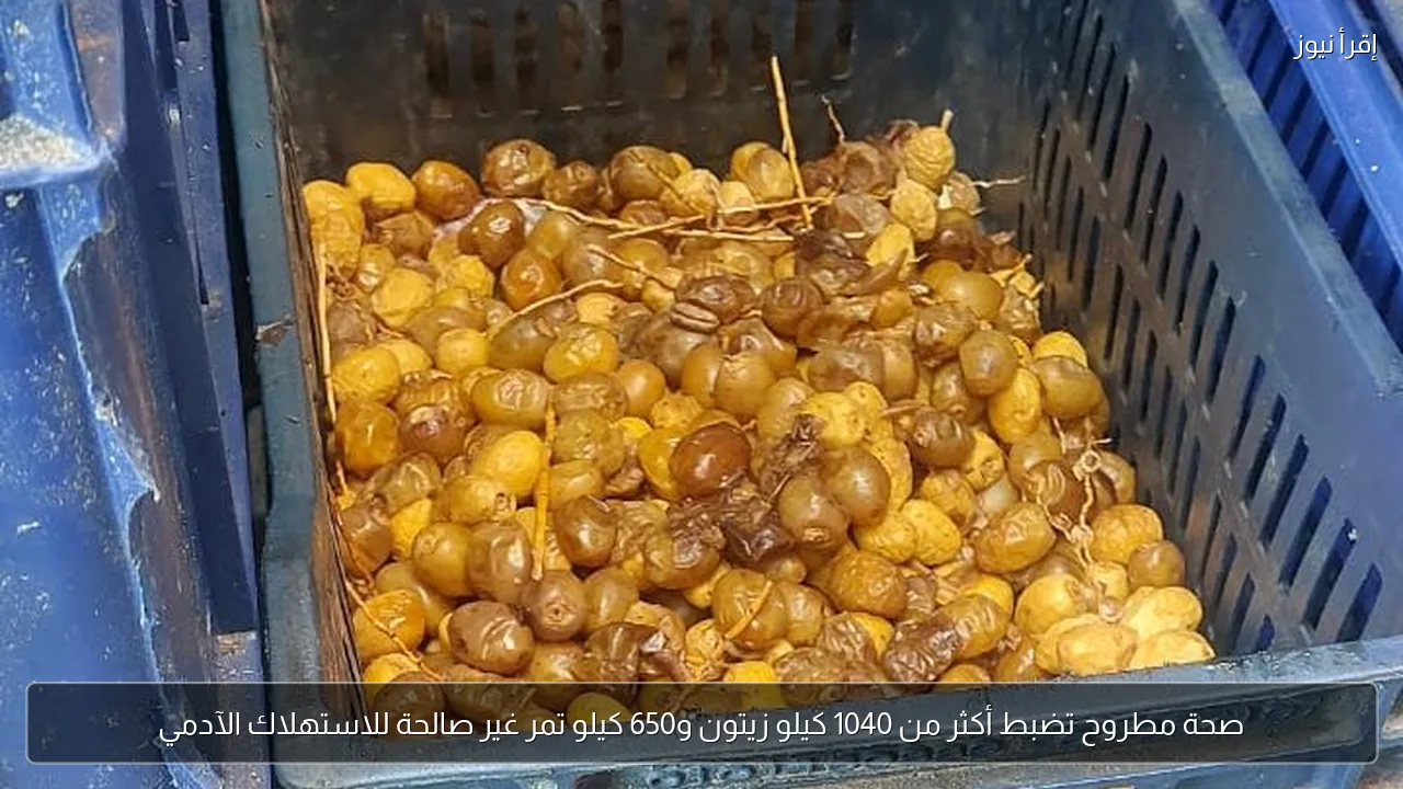 صحة مطروح تضبط أكثر من 1040 كيلو زيتون و650 كيلو تمر غير صالحة للاستهلاك الآدمي