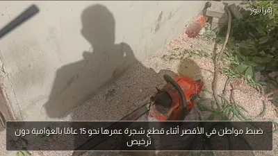 ضبط مواطن في الأقصر أثناء قطع شجرة عمرها نحو 15 عامًا بالعوامية دون ترخيص