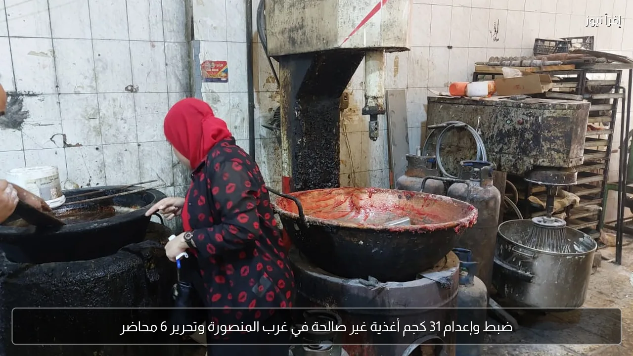 ضبط وإعدام 31 كجم أغذية غير صالحة في غرب المنصورة وتحرير 6 محاضر