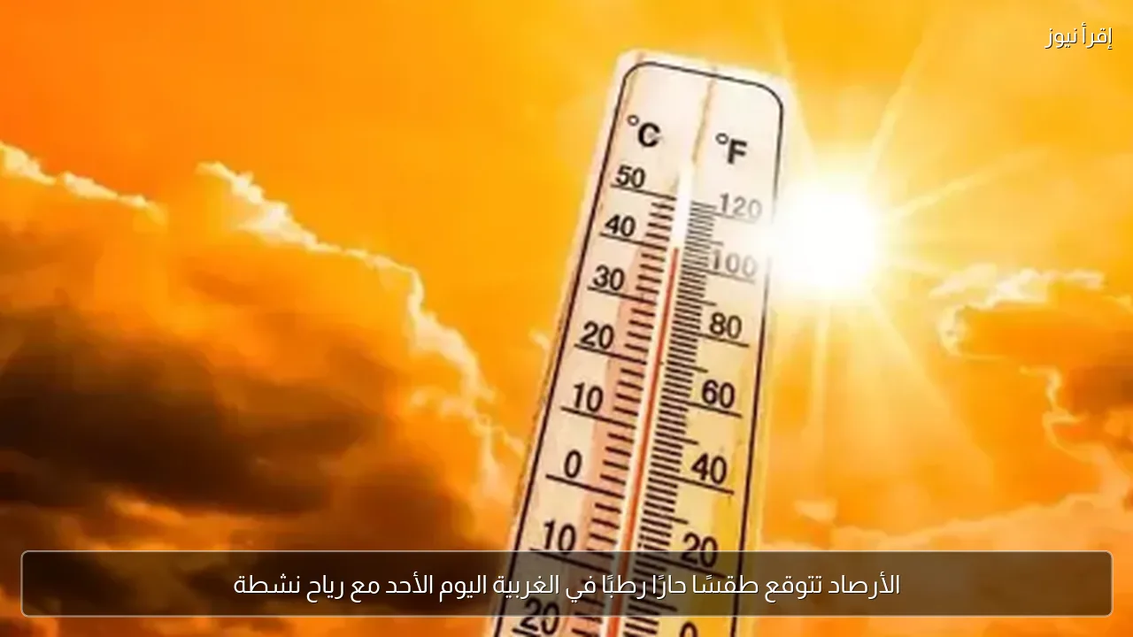 الأرصاد تتوقع طقسًا حارًا رطبًا في الغربية اليوم الأحد مع رياح نشطة