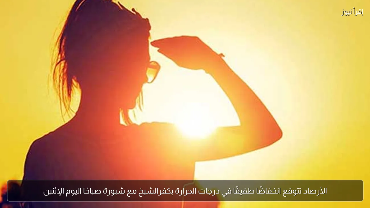 الأرصاد تتوقع انخفاضًا طفيفًا في درجات الحرارة بكفرالشيخ مع شبورة صباحًا اليوم الإثنين