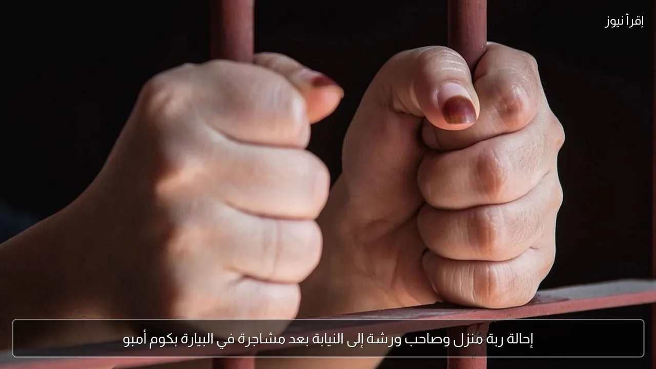 إحالة ربة منزل وصاحب ورشة إلى النيابة بعد مشاجرة في البيارة بكوم أمبو