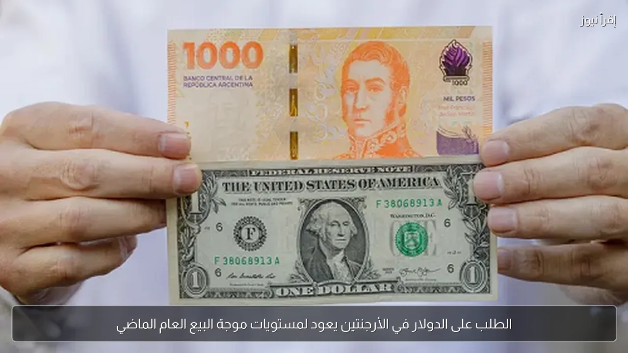 الطلب على الدولار في الأرجنتين يعود لمستويات موجة البيع العام الماضي