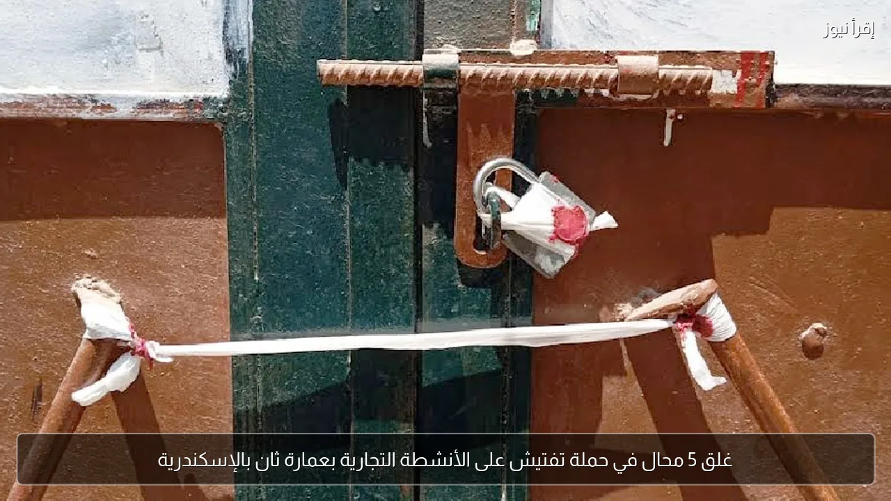 غلق 5 محال في حملة تفتيش على الأنشطة التجارية بعمارة ثان بالإسكندرية
