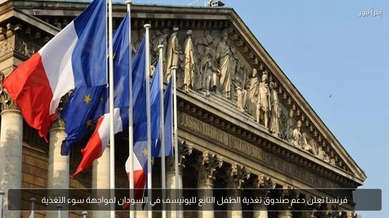 فرنسا تعلن دعم صندوق تغذية الطفل التابع لليونيسف في السودان لمواجهة سوء التغذية