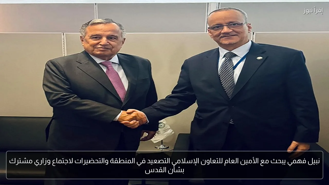 نبيل فهمي يبحث مع الأمين العام للتعاون الإسلامي التصعيد في المنطقة والتحضيرات لاجتماع وزاري مشترك بشأن القدس