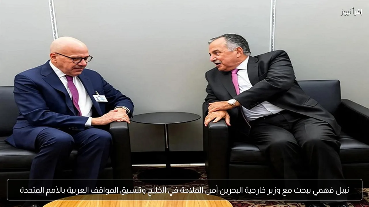 نبيل فهمي يبحث مع وزير خارجية البحرين أمن الملاحة في الخليج وتنسيق المواقف العربية بالأمم المتحدة
